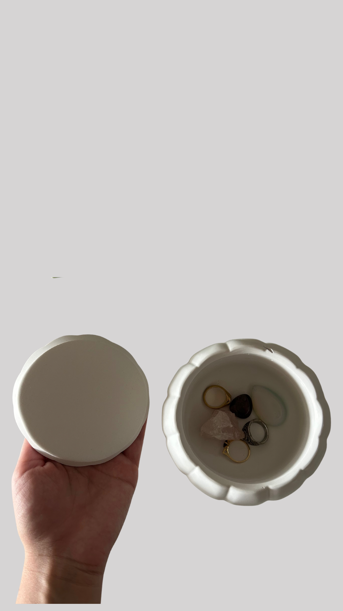 Joyero pumpkin cucurbita