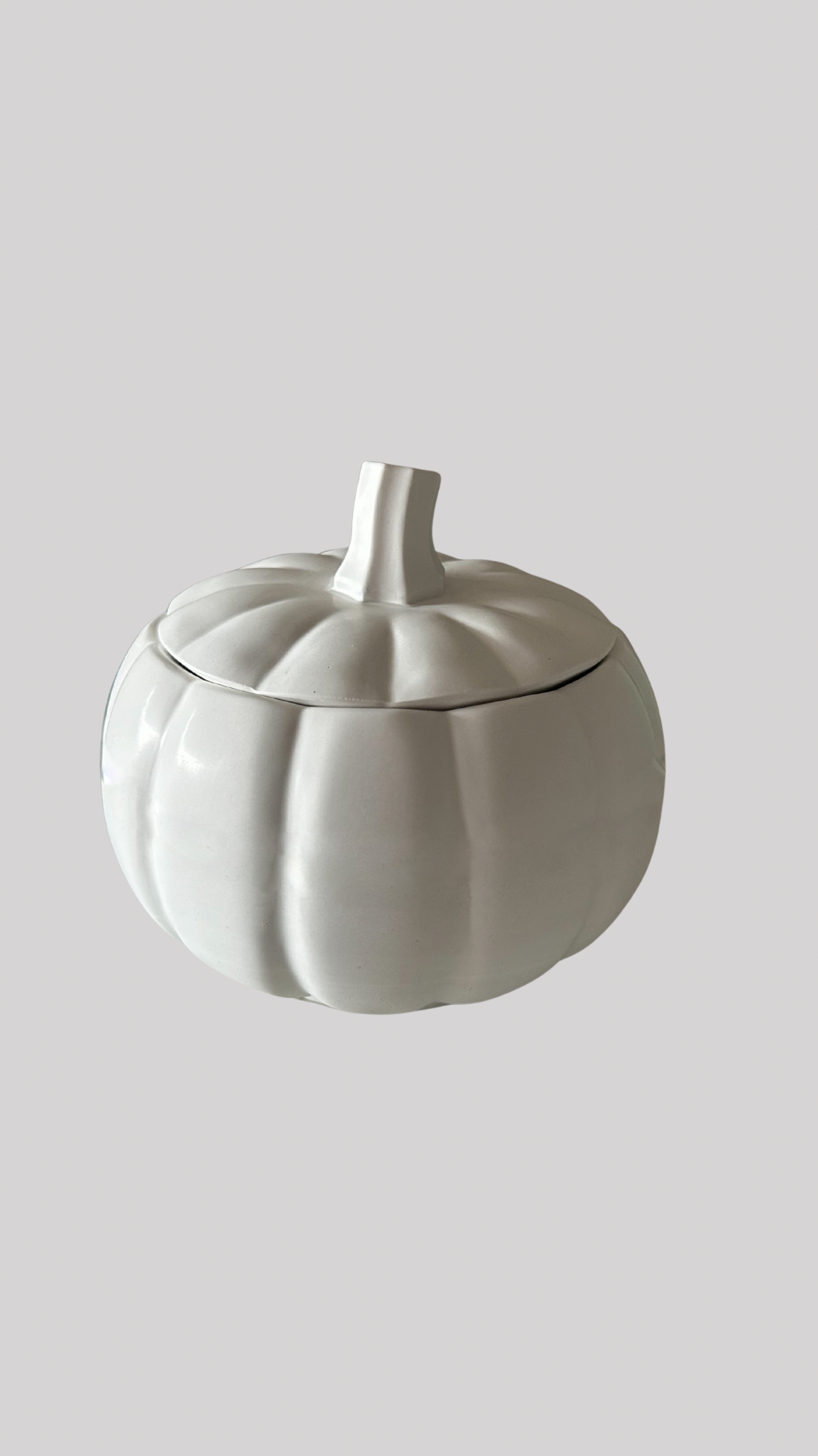 Joyero pumpkin cucurbita