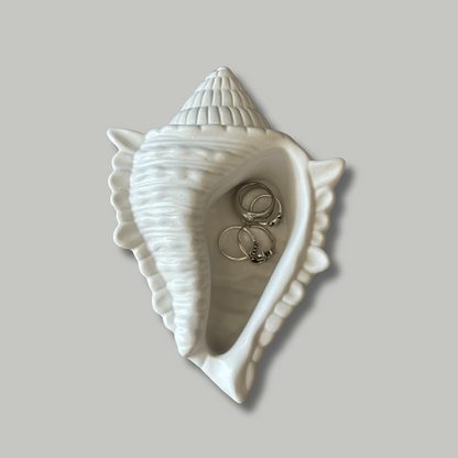 Joyero caracola venus